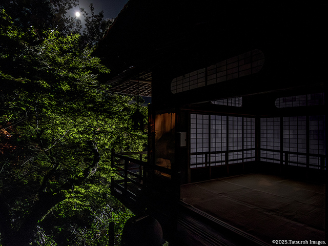 月に照らされる臥龍山荘の不老庵