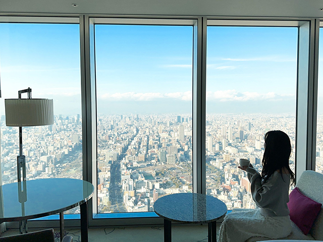 ホテルの客室からの絶景
