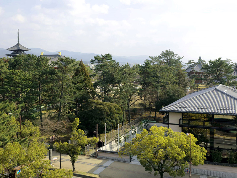 興福寺に隣接する宿泊ホテル「登大路ホテル」