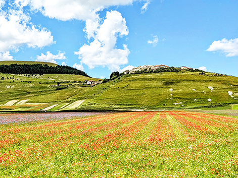 Campagna Toscana トスカーナの田舎） Campagna Toscana トスカーナの田舎） Casa Di Campagna In Toscana