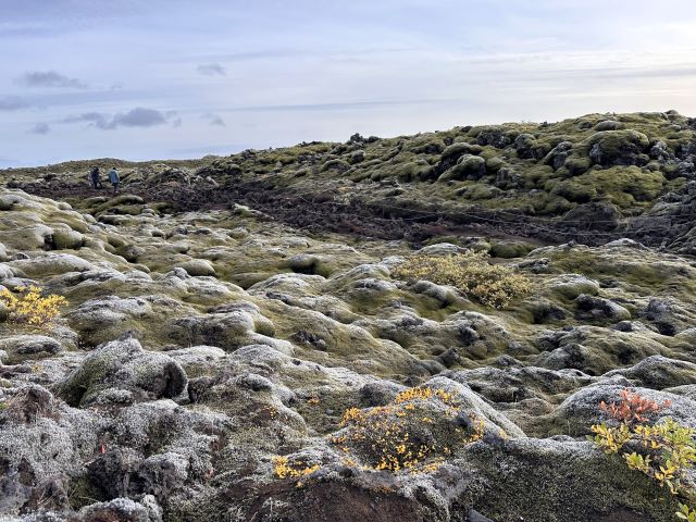 苔に覆われた溶岩台地 苔に覆われた溶岩台地