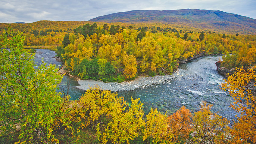 ラップランドとロフォーテン諸島の 自然に出会う | 株式会社グローバル
