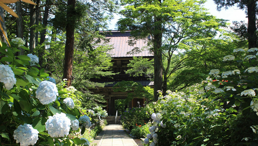 水芭蕉の季節の尾瀬へ 初夏の群馬 | 株式会社グローバル