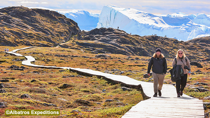 世界遺産の氷河に出会う グリーンランド ディスコ湾クルーズ | 株式