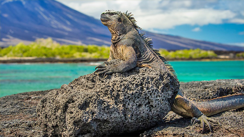 ナショナル ジオグラフィック エンデバーⅡ」でめぐる 世界遺産