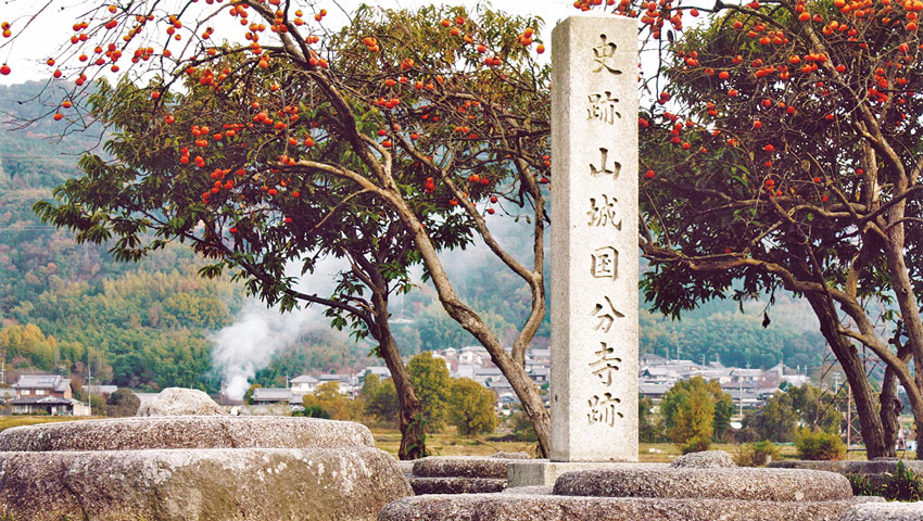 雑学観光 南山城と大和の古寺巡礼 | 株式会社グローバル