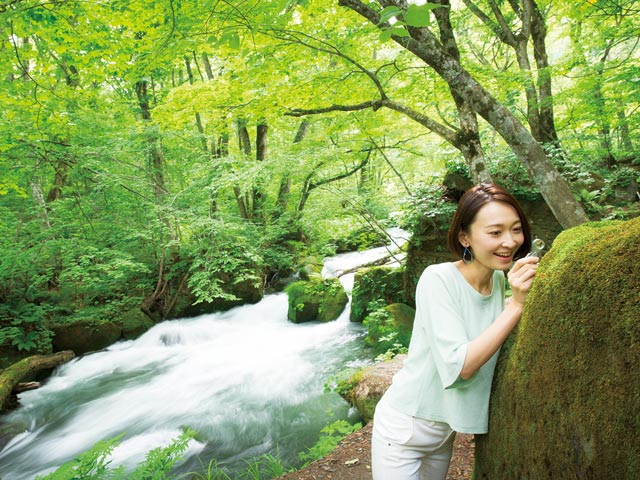 新緑の青森 癒やしの白神山地・奥入瀬 | 株式会社グローバル